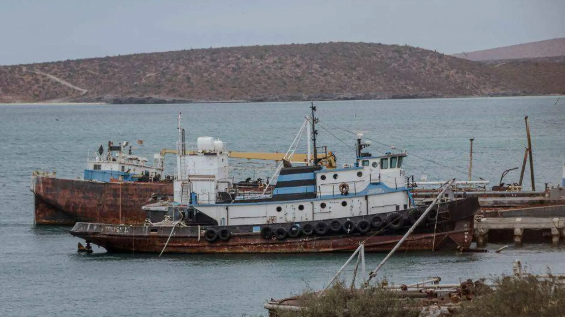 Barcos camaroneros BCS